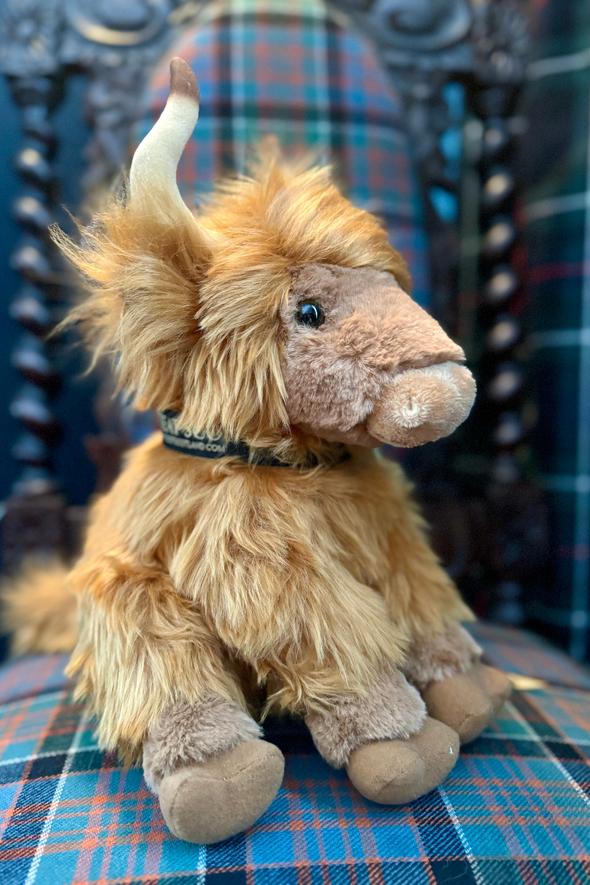 Archie Highland Coo